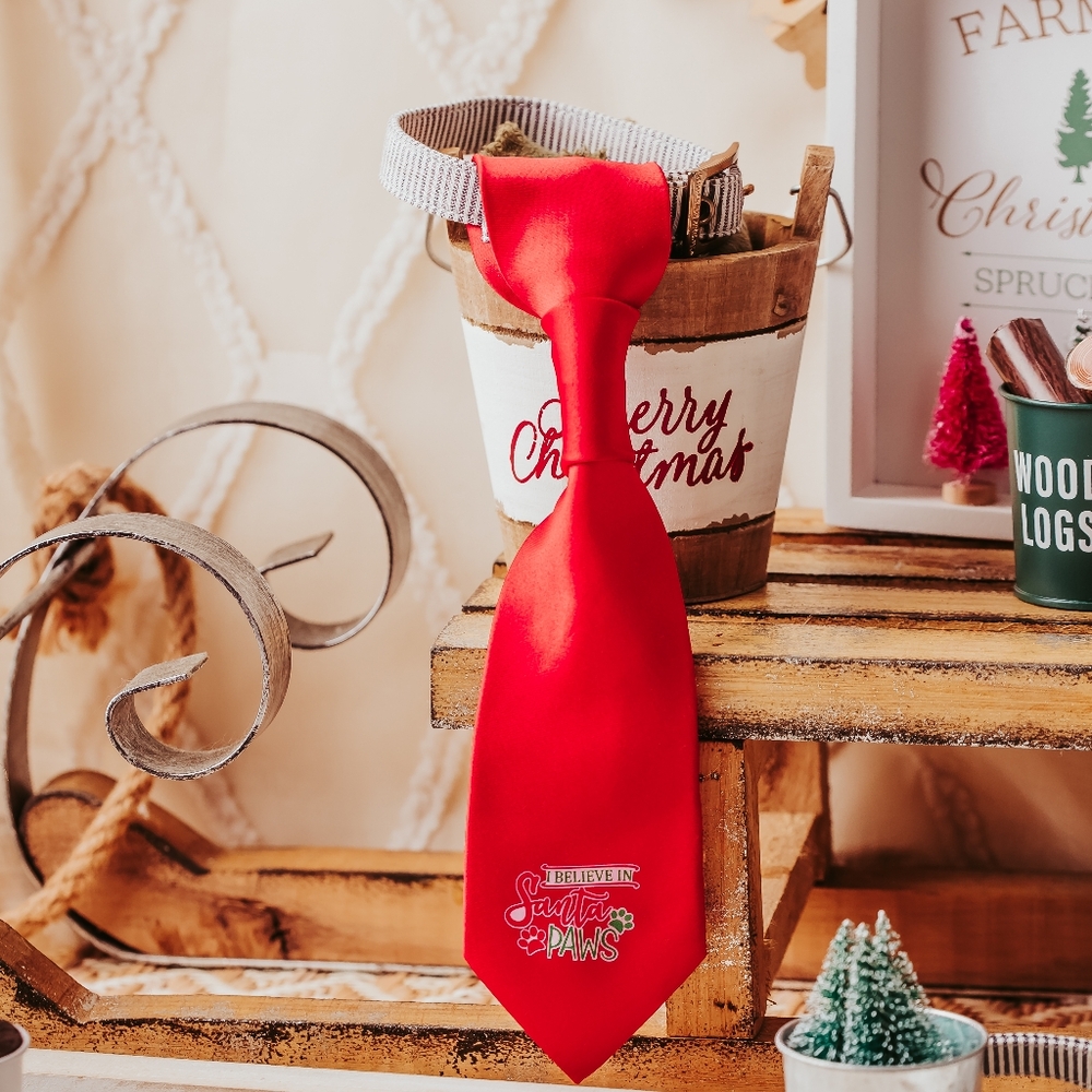 I Believe in Santa Paws Over-the-Collar Pet Tie